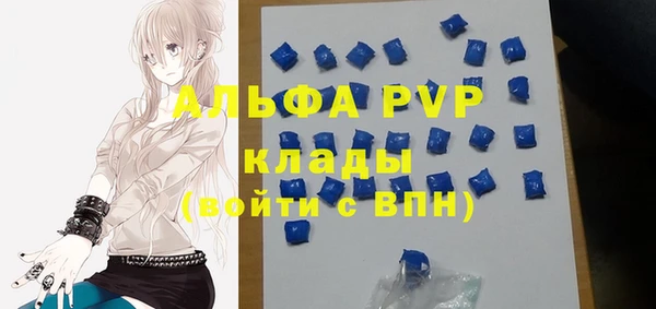 мяу мяу мука Аркадак