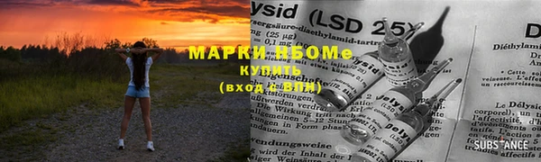 мяу мяу мука Аркадак